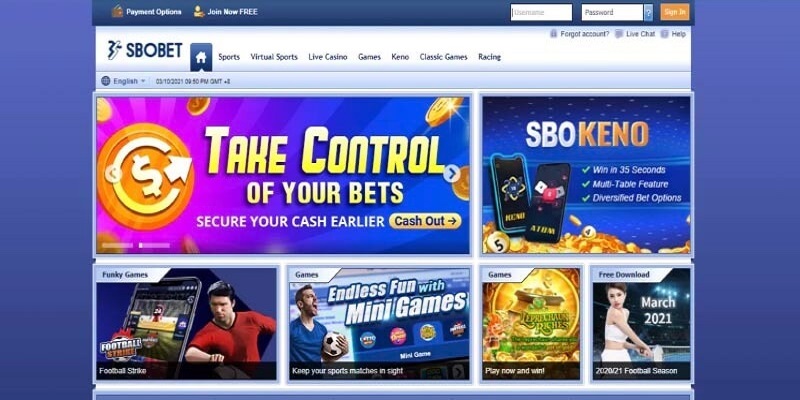 Trang web cá cược bóng SBOTrang web cá cược bóng SBOBETBET