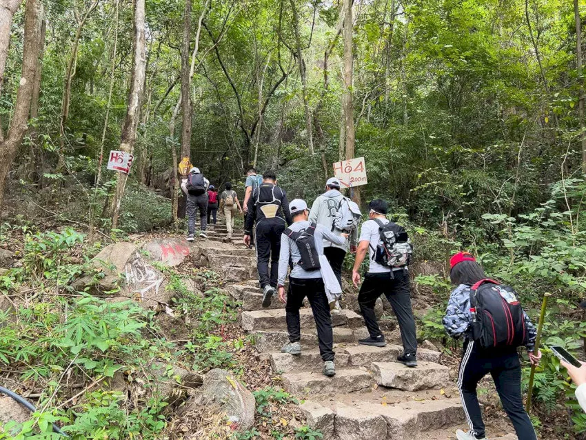 Đường trekking ở núi Dinh cũng có những đoạn khá dốc