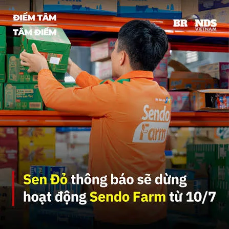 Sen đỏ fram ngừng hoạt động khiến người tiêu dùng xôn xao bàn tán, càng khiến Sendo lâm nguy