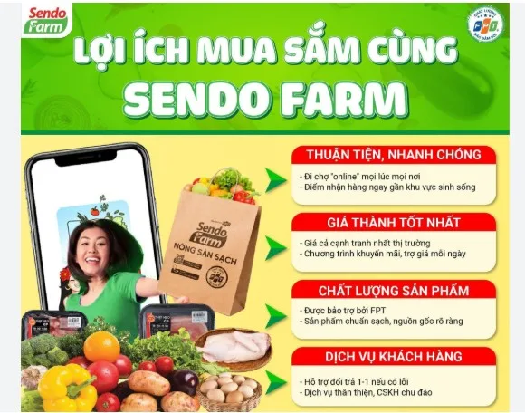 sendo-dung-hoat-dong-buoc-lui-hay-buoc-chuyen-minh-aa14