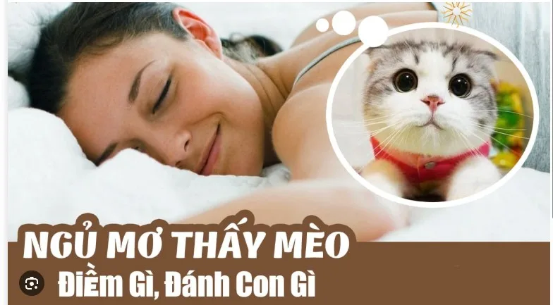 y-nghia-chiem-bao-khi-nam-mo-thay-meo-aa4
